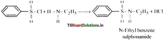 Amines Questions and Answers AP Inter 2nd Year Chemistry Chapter 9 19