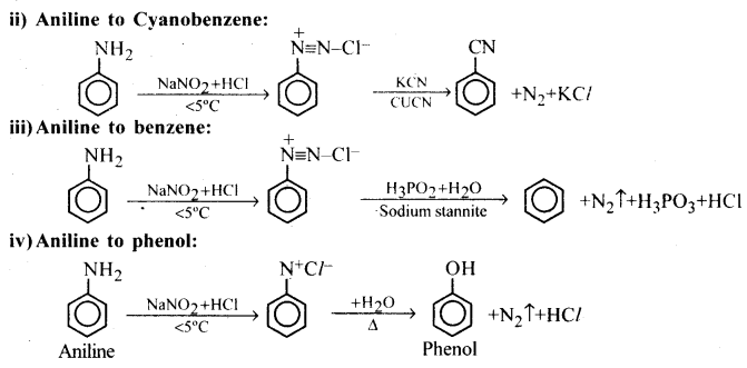 Amines Questions and Answers AP Inter 2nd Year Chemistry Chapter 9 28