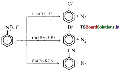 Amines Questions and Answers AP Inter 2nd Year Chemistry Chapter 9 29