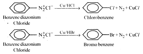 Amines Questions and Answers AP Inter 2nd Year Chemistry Chapter 9 30
