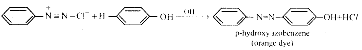 Amines Questions and Answers AP Inter 2nd Year Chemistry Chapter 9 31