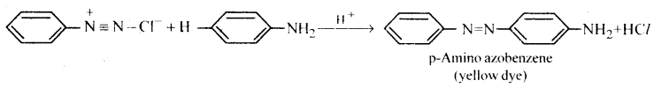 Amines Questions and Answers AP Inter 2nd Year Chemistry Chapter 9 32