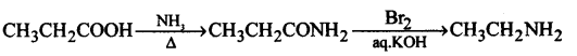 Amines Questions and Answers AP Inter 2nd Year Chemistry Chapter 9 34