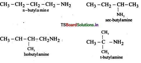 Amines Questions and Answers AP Inter 2nd Year Chemistry Chapter 9 35