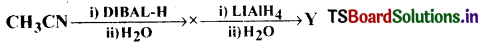 Amines Questions and Answers AP Inter 2nd Year Chemistry Chapter 9 4