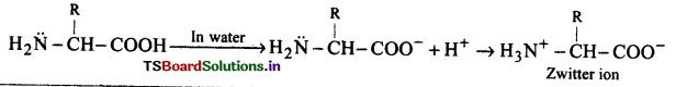 Biomolecules Questions and Answers AP Inter 2nd Year Chemistry Chapter 10 1