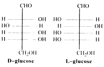 Biomolecules Questions and Answers AP Inter 2nd Year Chemistry Chapter 10 2