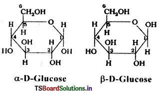 Biomolecules Questions and Answers AP Inter 2nd Year Chemistry Chapter 10 3