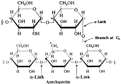Biomolecules Questions and Answers AP Inter 2nd Year Chemistry Chapter 10 5