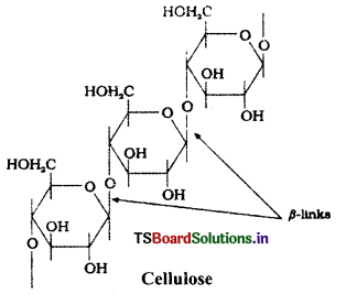 Biomolecules Questions and Answers AP Inter 2nd Year Chemistry Chapter 10 6