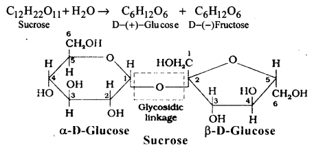 Biomolecules Questions and Answers AP Inter 2nd Year Chemistry Chapter 10 7