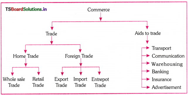 Business Activities Questions and Answers AP Inter 1st Year Commerce Chapter 2 2