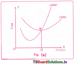 Cost and Revenue Analysis Questions and Answers AP Inter 1st Year Economics Chapter 5 4