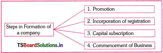 Formation of a Joint Stock Company Questions and Answers AP Inter 1st Year Commerce Chapter 7 1