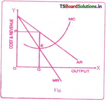Market Structure Questions and Answers AP Inter 1st Year Economics Chapter 6 10