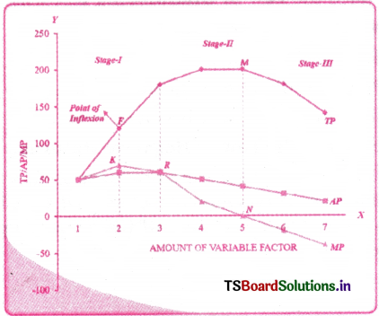 Production Analysis Questions and Answers AP Inter 1st Year Economics Chapter 4 1