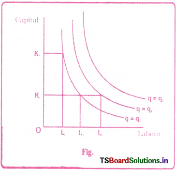 Production Analysis Questions and Answers AP Inter 1st Year Economics Chapter 4 2