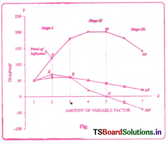 Production Analysis Questions and Answers AP Inter 1st Year Economics Chapter 4 3