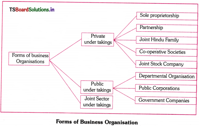 Sole Proprietorship Questions and Answers AP Inter 1st Year Commerce Chapter 3 1