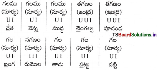 AP Inter 2nd Year Telugu Grammar ఛందస్సు 42