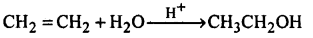 Alcohols, Phenols and Ethers Questions and Answers AP Inter 2nd Year Chemistry Chapter 7 11