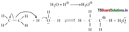 Alcohols, Phenols and Ethers Questions and Answers AP Inter 2nd Year Chemistry Chapter 7 12