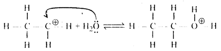 Alcohols, Phenols and Ethers Questions and Answers AP Inter 2nd Year Chemistry Chapter 7 13