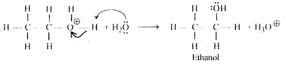 Alcohols, Phenols and Ethers Questions and Answers AP Inter 2nd Year Chemistry Chapter 7 14