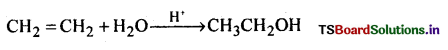 Alcohols, Phenols and Ethers Questions and Answers AP Inter 2nd Year Chemistry Chapter 7 2