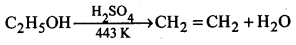 Alcohols, Phenols and Ethers Questions and Answers AP Inter 2nd Year Chemistry Chapter 7 22