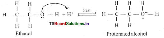 Alcohols, Phenols and Ethers Questions and Answers AP Inter 2nd Year Chemistry Chapter 7 23