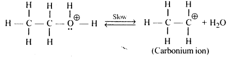 Alcohols, Phenols and Ethers Questions and Answers AP Inter 2nd Year Chemistry Chapter 7 24