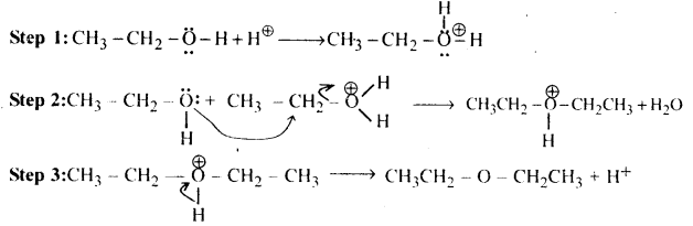 Alcohols, Phenols and Ethers Questions and Answers AP Inter 2nd Year Chemistry Chapter 7 27