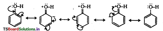 Alcohols, Phenols and Ethers Questions and Answers AP Inter 2nd Year Chemistry Chapter 7 35