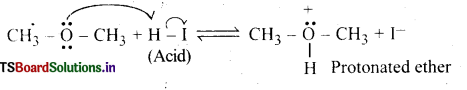 Alcohols, Phenols and Ethers Questions and Answers AP Inter 2nd Year Chemistry Chapter 7 5