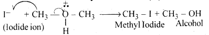 Alcohols, Phenols and Ethers Questions and Answers AP Inter 2nd Year Chemistry Chapter 7 6