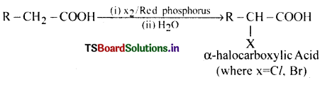 Aldehydes, Ketones and Carboxylic Acids Questions and Answers AP Inter 2nd Year Chemistry Chapter 8 1