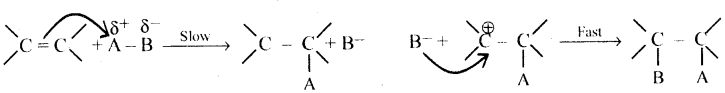 Aldehydes, Ketones and Carboxylic Acids Questions and Answers AP Inter 2nd Year Chemistry Chapter 8 10