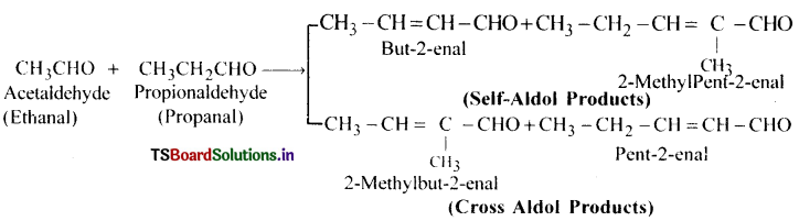 Aldehydes, Ketones and Carboxylic Acids Questions and Answers AP Inter 2nd Year Chemistry Chapter 8 11