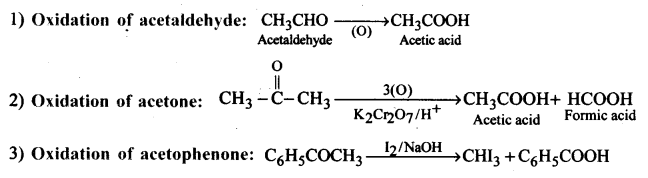 Aldehydes, Ketones and Carboxylic Acids Questions and Answers AP Inter 2nd Year Chemistry Chapter 8 13