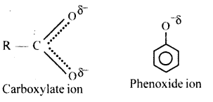 Aldehydes, Ketones and Carboxylic Acids Questions and Answers AP Inter 2nd Year Chemistry Chapter 8 2