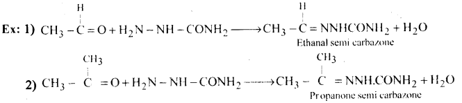 Aldehydes, Ketones and Carboxylic Acids Questions and Answers AP Inter 2nd Year Chemistry Chapter 8 20
