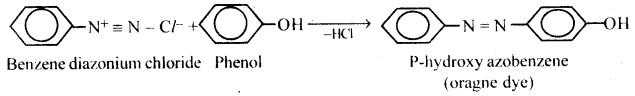 Aldehydes, Ketones and Carboxylic Acids Questions and Answers AP Inter 2nd Year Chemistry Chapter 8 27