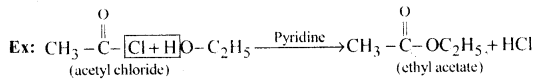 Aldehydes, Ketones and Carboxylic Acids Questions and Answers AP Inter 2nd Year Chemistry Chapter 8 29
