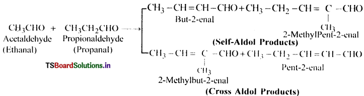 Aldehydes, Ketones and Carboxylic Acids Questions and Answers AP Inter 2nd Year Chemistry Chapter 8 32