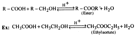 Aldehydes, Ketones and Carboxylic Acids Questions and Answers AP Inter 2nd Year Chemistry Chapter 8 37