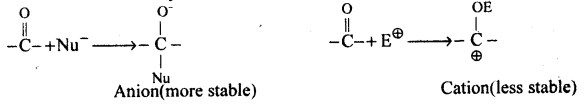 Aldehydes, Ketones and Carboxylic Acids Questions and Answers AP Inter 2nd Year Chemistry Chapter 8 9