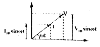 Alternating Currents Questions and Answers AP Inter 2nd Year Physics Chapter 7 6