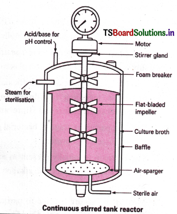Biotechnology Principles, Processes and Applications Questions and Answers AP Inter 2nd Year Botany Chapter 5 2