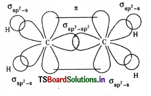 Chemical Bonding and Molecular Structure Questions and Answers AP Inter 1st Year Chemistry Chapter 4 11